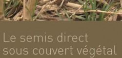 semis_direct_sous_couvert_vegetal